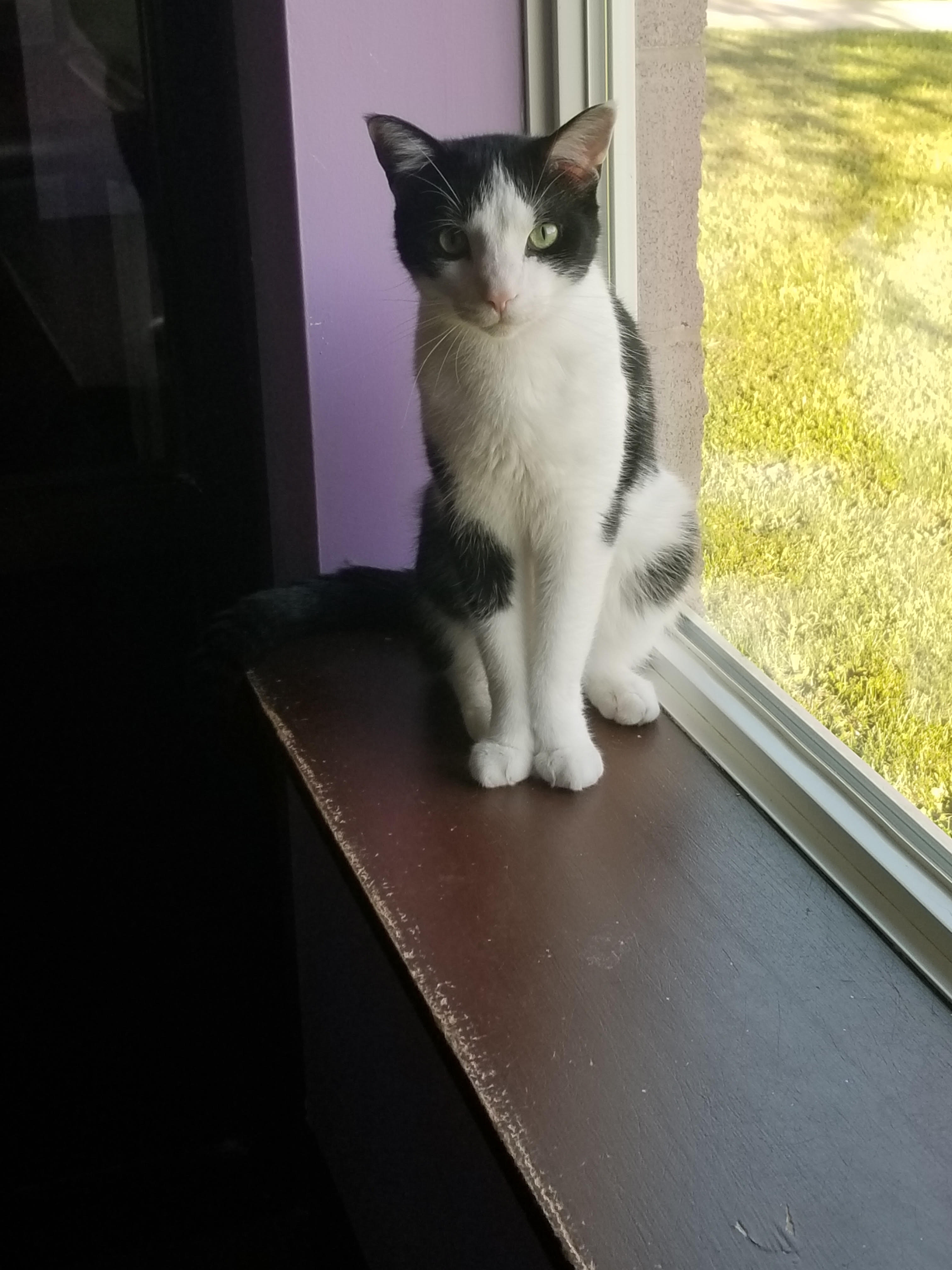 Alexander