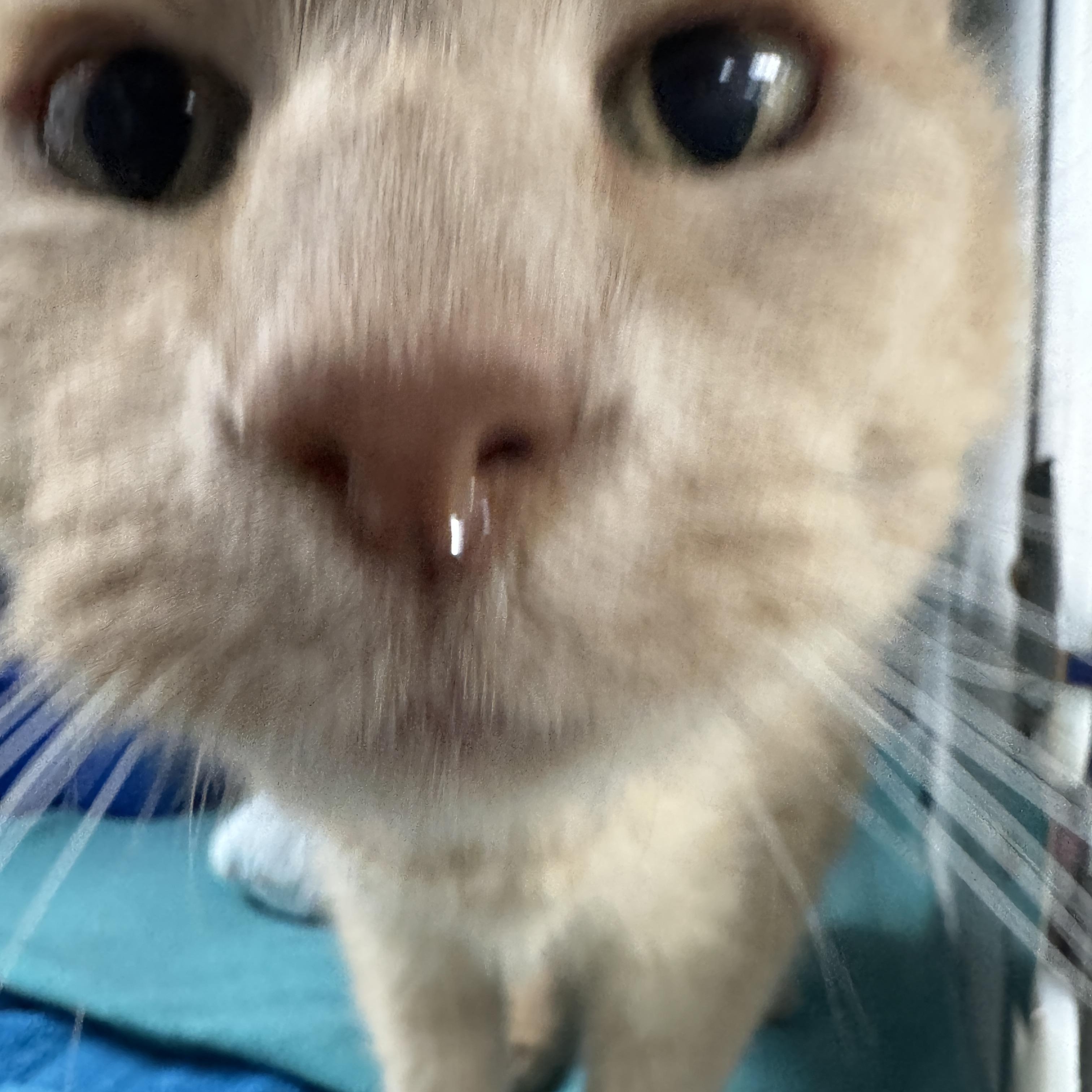 Charlie