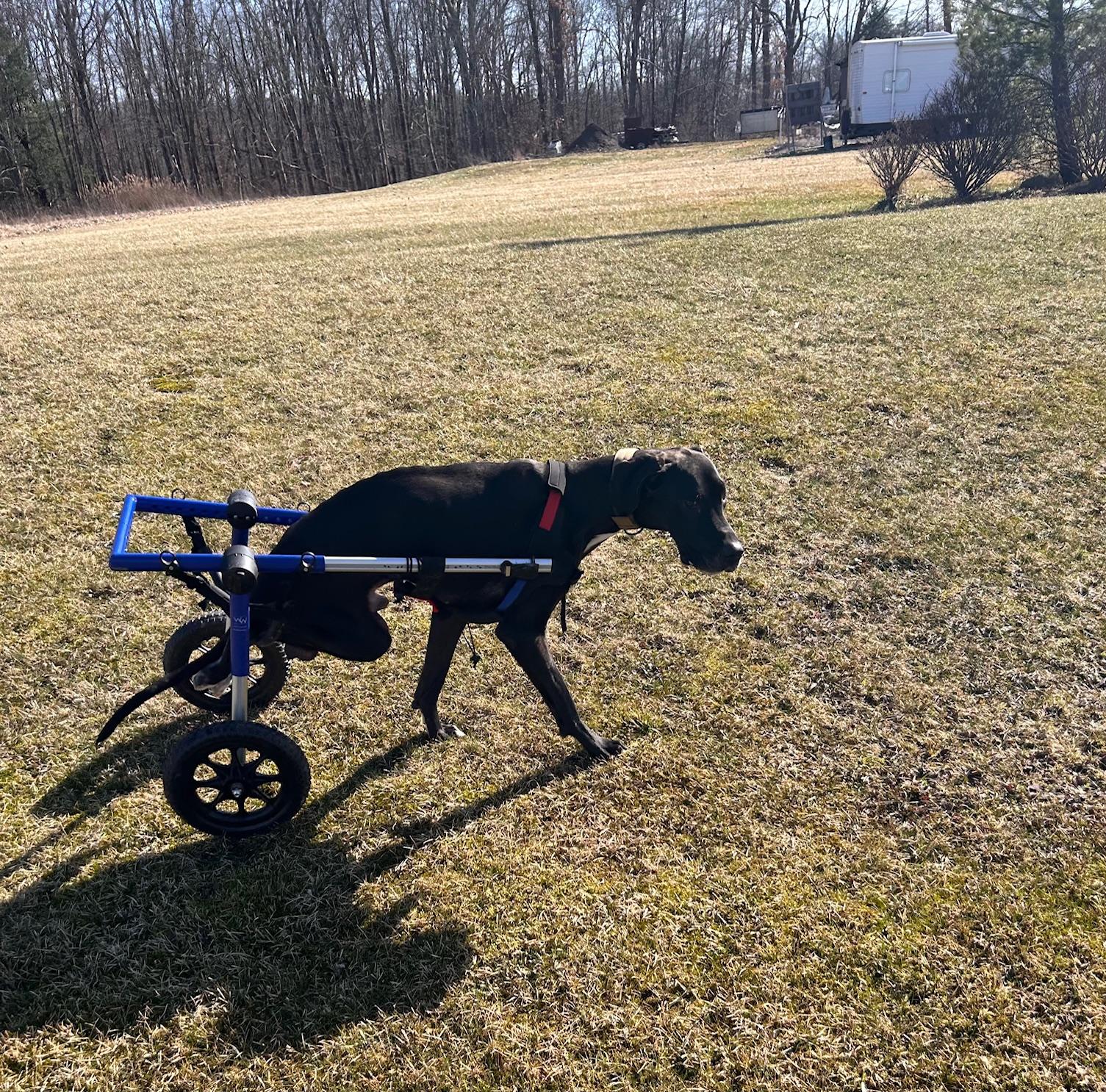 Tyson