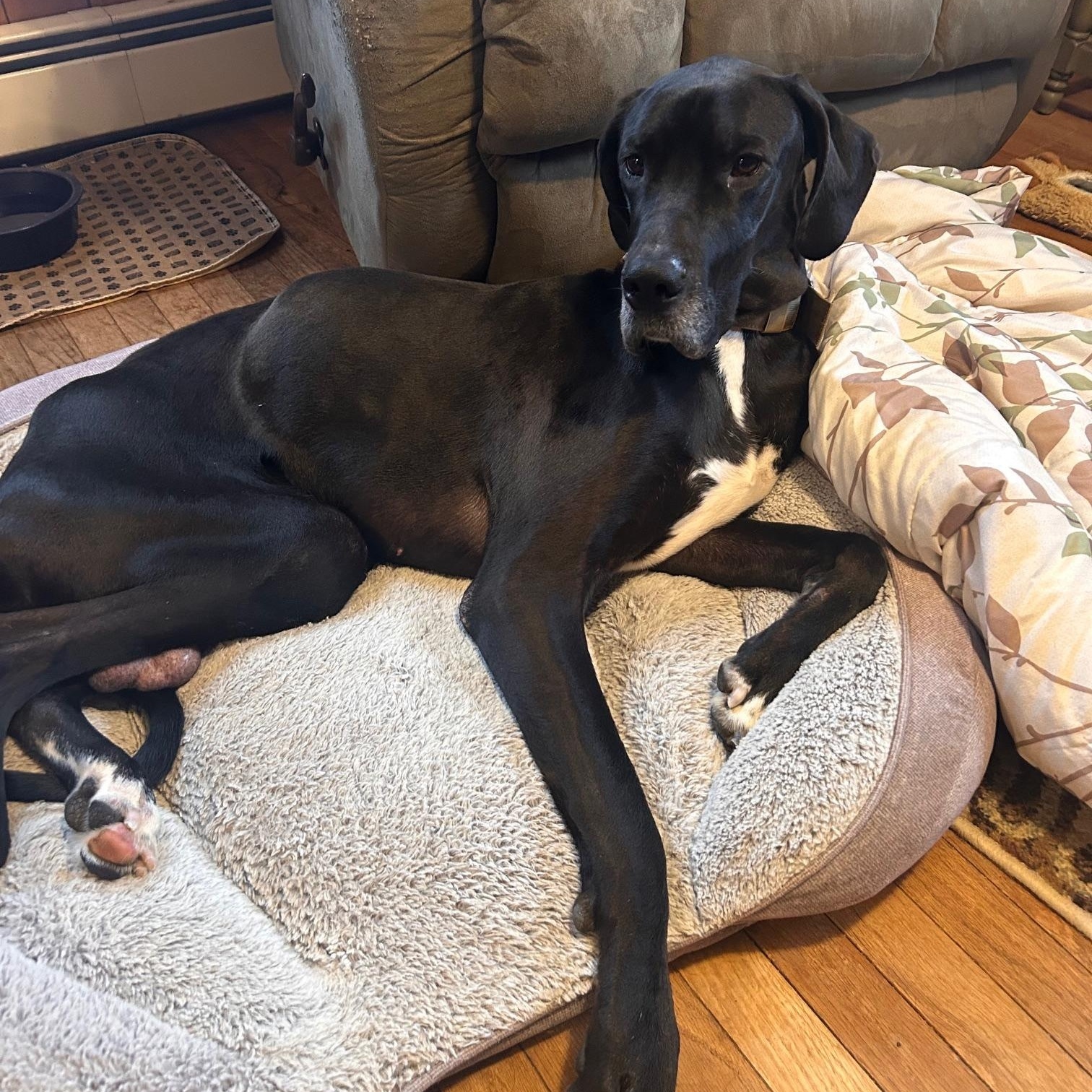 Tyson