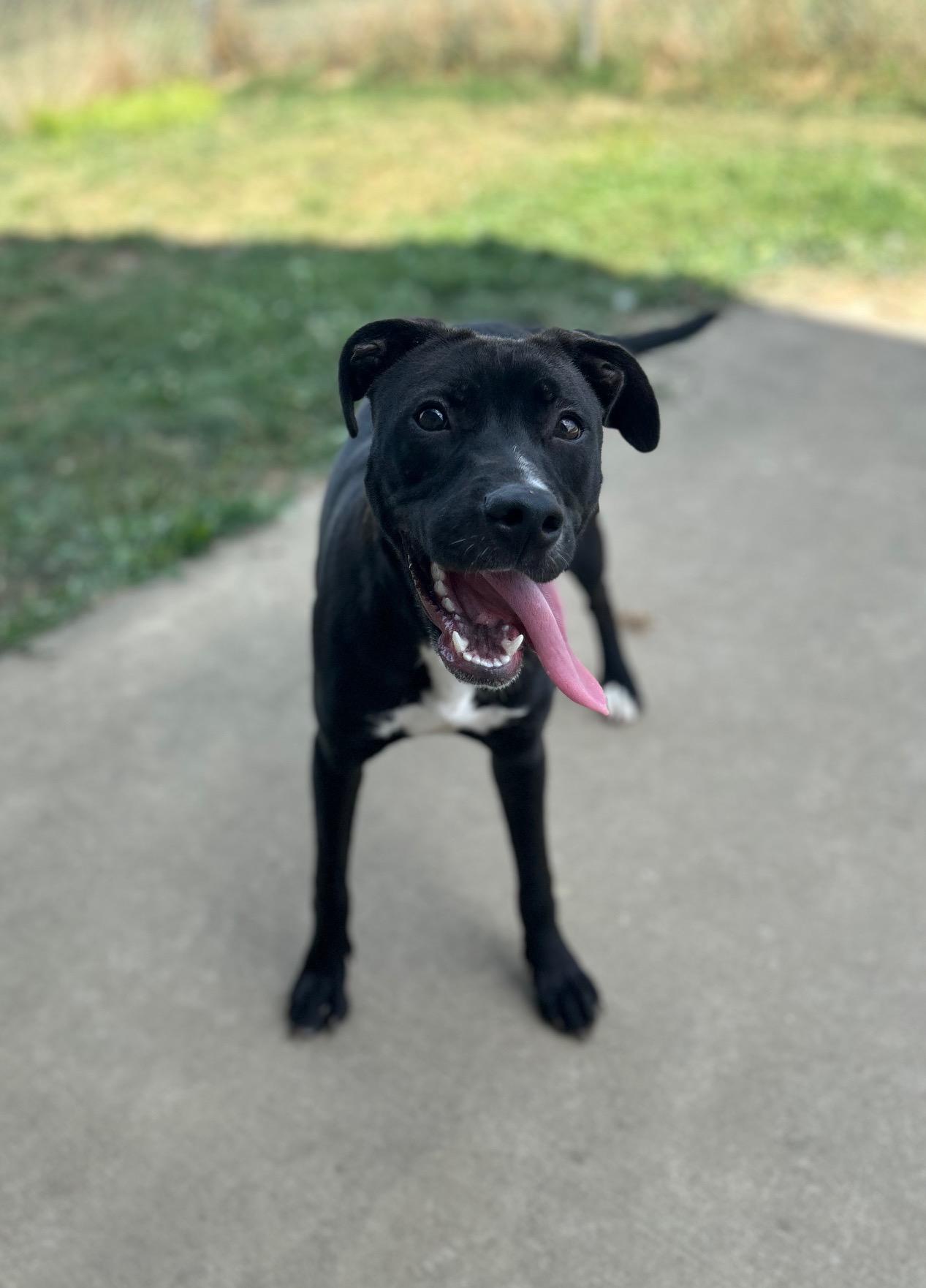 Maggie