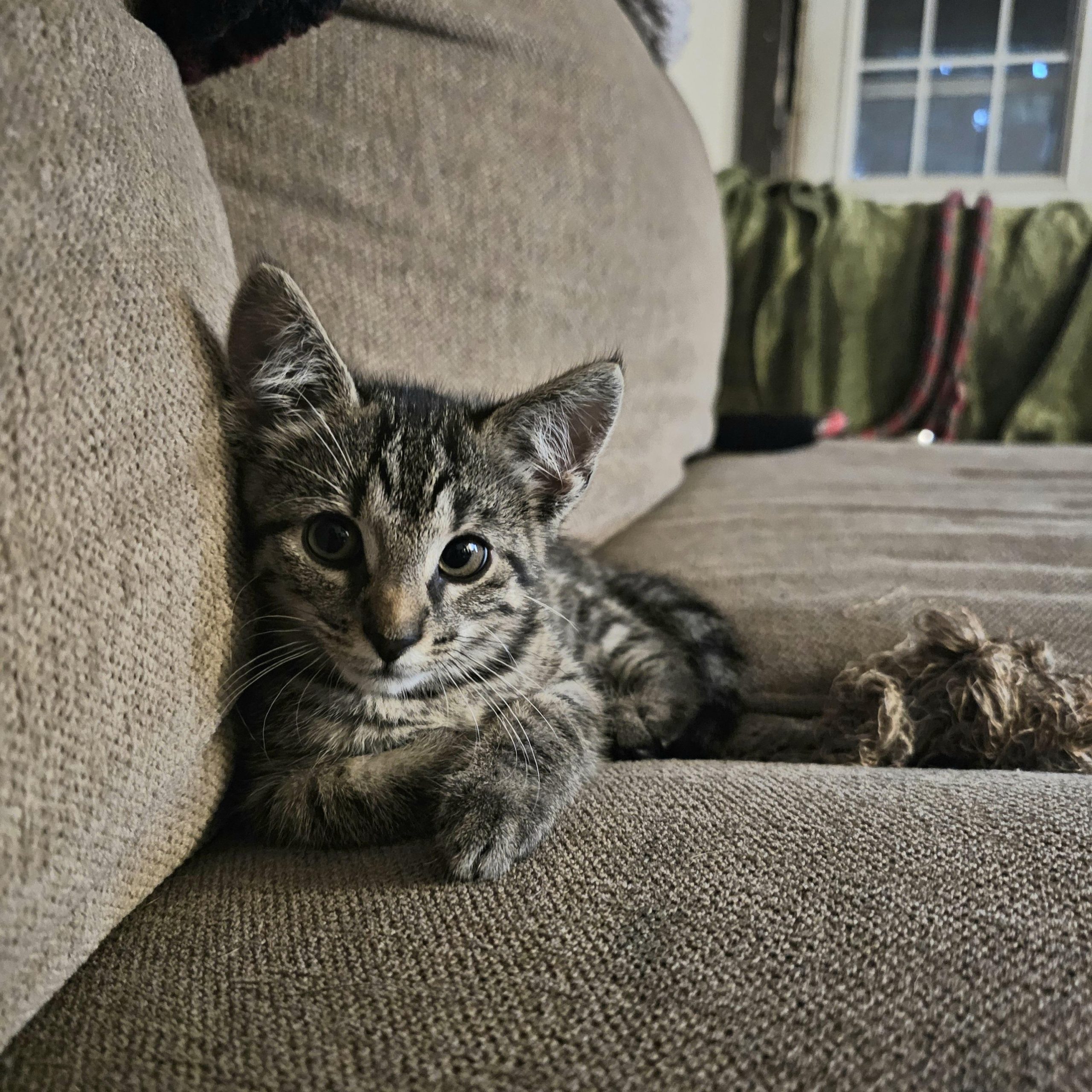 Penelope