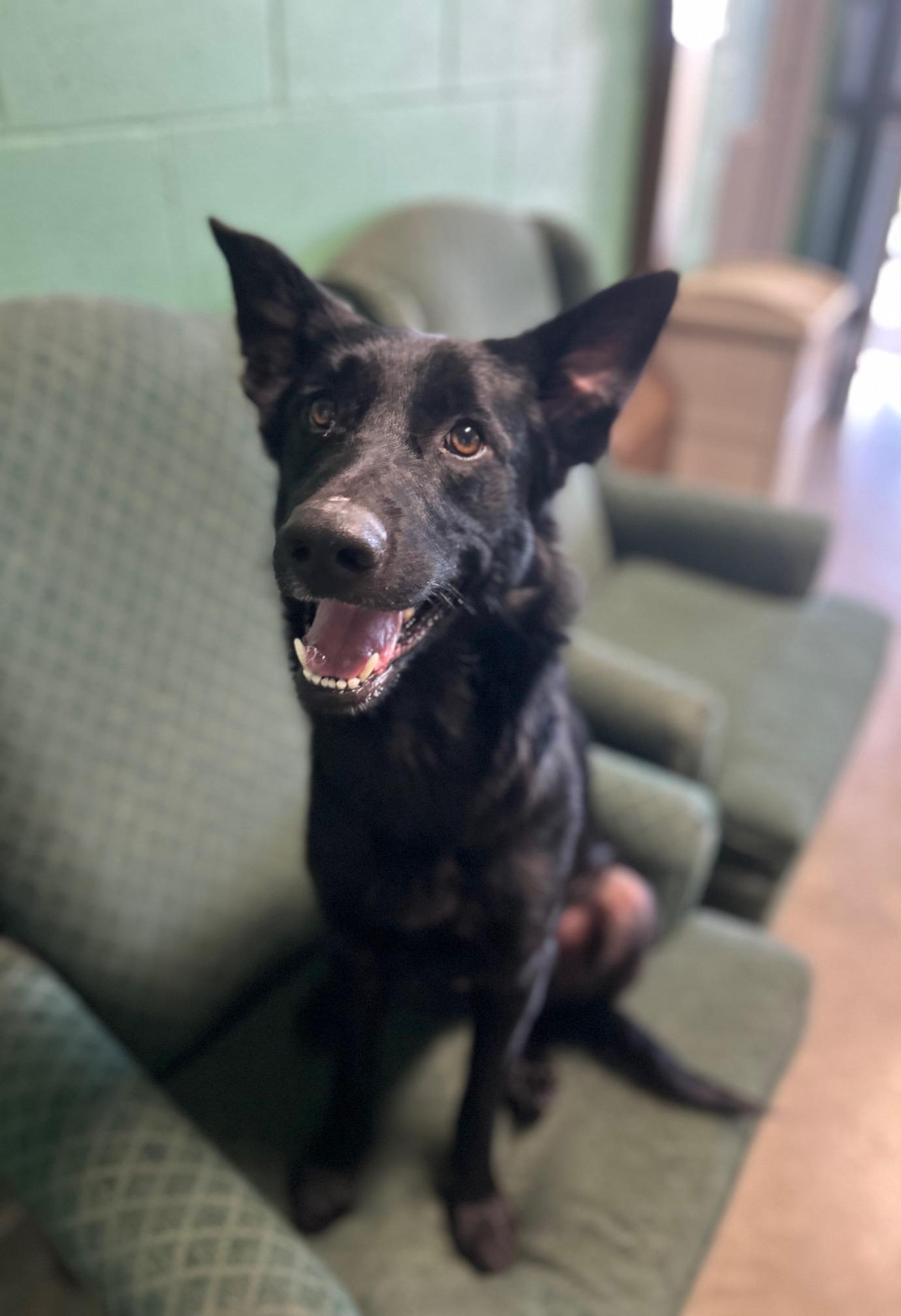 Jet